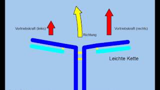 Theorie des Immunsystems Antikörper und Antigene [upl. by Allicserp893]