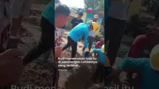 VIRAL Penemu Gading Gajah Purba di Sragen Dapat Kompensasi Rp 1 Juta Warganet UMR Aja Gak Segitu [upl. by Myrlene]