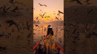 Dagabaz re 👀🦋 song newsong music love bollywood musiclyrics astheticstatus astheticvibes [upl. by Kcirdorb170]