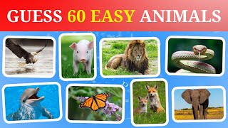 Guess 60 Animals in 4 Seconds 🔥 Easy level [upl. by Child]