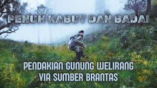 Penuh Kabut dan dihajar badai Ultralight hiking Pendakian Gunung Welirang via sumber brantas [upl. by Anaidiriv]