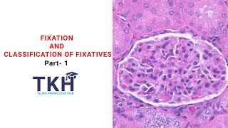 Fixation and Classification of Fixatives Part 1  Properties of fixative  Histopathology  DMLT [upl. by Aitropal]