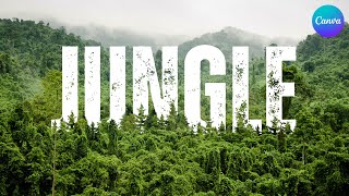 Jungle Text Effect Editing in Canva  Create Stunning NatureInspired Typography [upl. by Maudie]