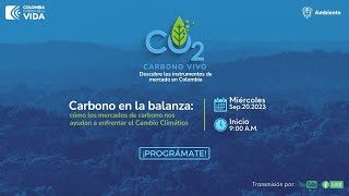 Carbono en la balanza  🔵CARBONO VIVO Descubre los instrumentos de mercado en Colombia [upl. by Ensoll]