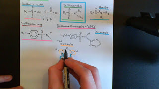 Folate Antagonist Antibiotics Part 1 [upl. by Acinet]