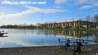 Pêche très difficile durant cette journée au canal [upl. by Ahsennek243]