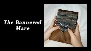 The Bannered Mare  Skyrim Chromatic Kalimba Cover [upl. by Ahsiem]