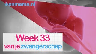 33 weken zwanger  ikenmamanl [upl. by Arron649]