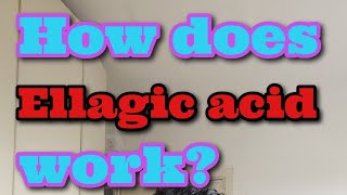 How does it work  part 6  Ellagic acid in skincare [upl. by Flint690]