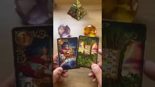 Qual o motivo desse afastamento  Tarot tarot tarotdehoje tarotresponde [upl. by Euqinay582]