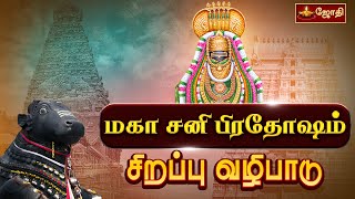 விதியை வெல்லும் சனி மகா பிரதோஷ வழிபாடு  Sani Pradosham பல்வேறு கோயில்களில் இருந்து  Jothitv [upl. by Erreid877]