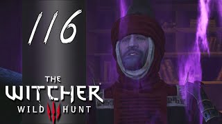 Tower Outta Nowhere ► Lets Play The Witcher 3 Wild Hunt  Part 116 [upl. by Nanis234]