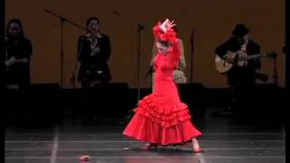 flamenco rondena [upl. by Francyne]