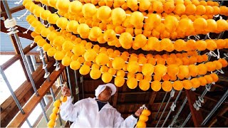 Japan Dried Persimmon Processing  Amazing Asia Agriculture Fruit Harvesting [upl. by Walke60]