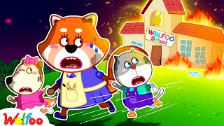 Run School is Burning  Wolfoo Learns Safety Tips  Fire Safety Cartoon 🤩 Wolfoo Kids Cartoon [upl. by Ariaes323]