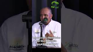 Interacción y Beneficios del Uso del Silicio en el Aguacatero¡¡🌳♻🥑 [upl. by Nossah]