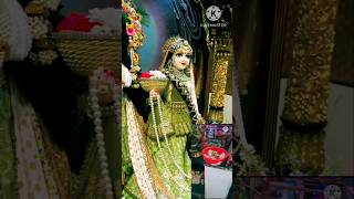 Naina Jo Mile Hai Sarkar Se Radhe Krishna trendingshorts radhekrish [upl. by Laughry]