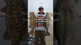 Top 25 Best Bass Lakes in the South  15 Pickwick Lake bassfishing fishing bestbasslakes [upl. by Davidoff924]