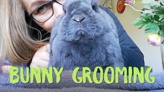 How to Groom your Rabbit  BUNNY DIARIES 2 [upl. by Atterual]