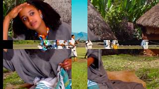 Haile Mergetaሃይለ መርጌታ ፋቕዕ ሓደኽለይ መማሰኒtuned gumaye with exciting chirawata 2019 [upl. by Robillard]