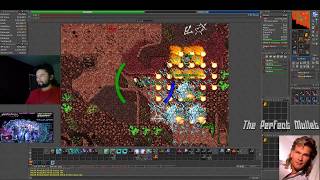 Tibia Master Sorcerer 140  The HiveHydras  Full Team Hunt [upl. by Atnicaj]