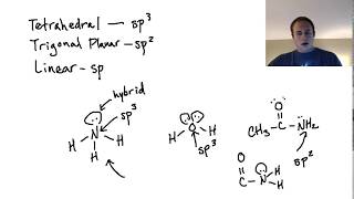 Are Lone Pairs in Hybrid Orbitals sp2 confusion [upl. by Atteuqaj537]