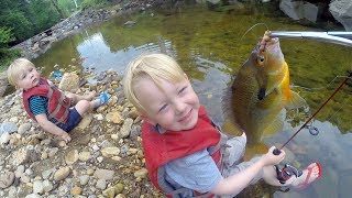 Tiny Creek Fishing  Small creek fishing with bobber and worms  Micro fishing for mummichog [upl. by Henriques]