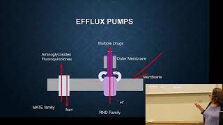 11ABR mechanisms target modification and efflux [upl. by Gorga]