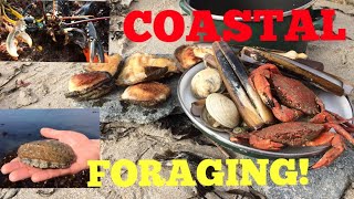 Coastal Foraging  Cook Up On The Beach  Ormers  Abalone  Lobster  Clams and More [upl. by Rowney]