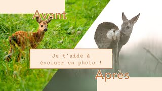 COMMENT AMELIORER TES PHOTOS  5 ASTUCES PHOTO ANIMALIERE [upl. by Etnauj]