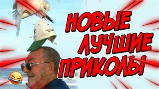 😂Я РЖАЛ ДО СЛЕЗ  ПРИКОЛЫ ЗА МАРТ  FUNNY MOMENTS 2023  13 МИНУТ СМЕХА  393 [upl. by Mcgruter]