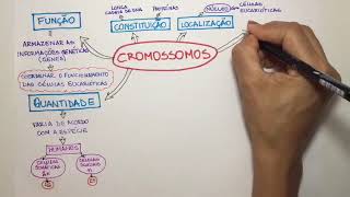 Cromossomos [upl. by Ynatterb]