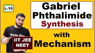 L10 Mechanism of Gabriel Phethalimid synthesis  Easy to learn  NEET JEE [upl. by Redle]