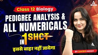 Class 12 Boards  Biology Pedigree Analysis and All Numericals ls in One Shot By Sakshi Maam [upl. by Hogle256]