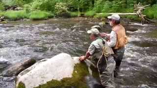 Hazel Creek Trout Fishing  Great Smoky Mountain National Park [upl. by Eerot]