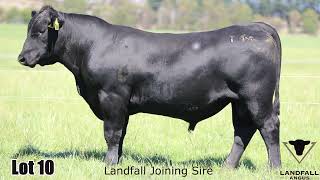 Lot 010 Landfall Rostella TFA22T44 [upl. by Nnadroj]