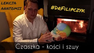 kości czaszki szwy drfilipczyk anatomia cranio [upl. by Belac]