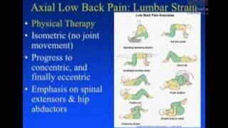 Conservative Management of Low Back Pain [upl. by Nwahsan664]