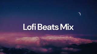 Lofi Beats Mix chill lofi hip hop beats [upl. by Ithaman]