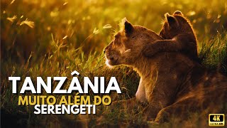 Tanzânia Muito Além do Serengeti animals wildlife documentary safari [upl. by Noirod]