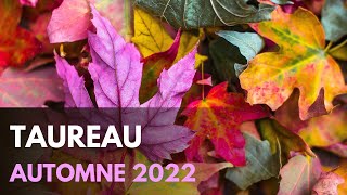 ♉️ TAUREAU  AUTOMNE 2022 • OCTOBRE NOVEMBRE DECEMBRE • TAROT HOROSCOPE [upl. by Cirala257]