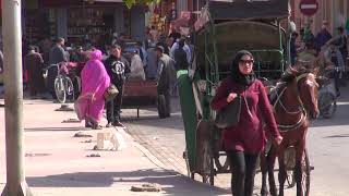 TAROUDANT A PIEDS DANS LA VILLE [upl. by Onavlis]