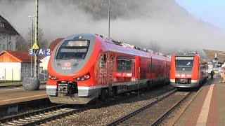 Allgäubahn🌤️ Immenstadt und Alpsee Züge im Sonne amp Nebel Mix Dieselsound BR612 BR633 [upl. by Drarrej]