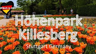 【Stuttgart】🇩🇪A spring day at Höhenpark Killesberg  Nature amp Enjoy in Stuttgart Germany [upl. by Bohun]