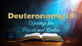 The Book of Deuteronomy  Chapter 18 Offerings for Priests and Levites  NIV Audio Bible [upl. by Novhaj317]