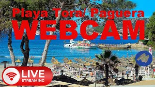 LIVE WEBCAM Paguera Tora Beach 4K UHD 247 from Mallorca stream livestream mallorca baleares [upl. by Ydnamron]