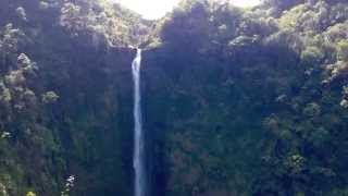 Exploring Akaka Falls amp Magical Banyan Trees Honomu Big Island Hawaii [upl. by Etty]