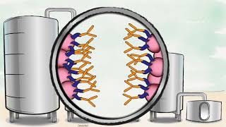 Biopharmaceutical production process [upl. by Edivad]