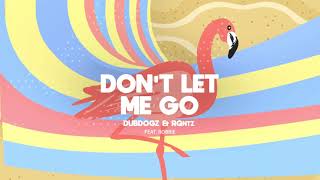 RAIGN  Dont Let Me Go Lyric Video [upl. by Kennard888]