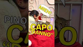 CAPO”DANNO” Cerchiamo di evitarlo Scopri come con Pino [upl. by Calysta]